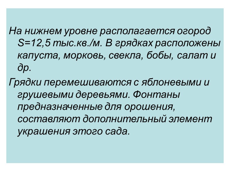 На нижнем уровне располагается огород S=12,5 тыс.кв./м. В грядках расположены капуста, морковь, свекла, бобы,